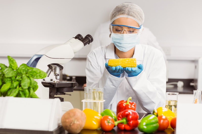 Online Training – Pembinaan dan Sertifikasi Hazard Analysis Critical Control Point/HACCP (Food Hygiene) by BNSP